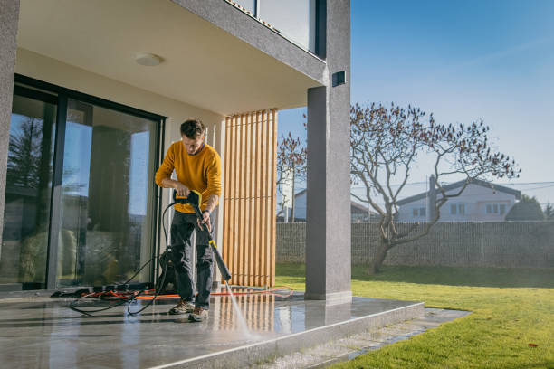 Best Dumpster Area Cleaning  in De Soto, IL